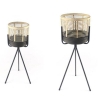papazois.gr | HotelDeco | TIGER-BB |  | 1272-1182