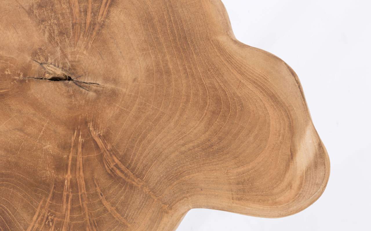 papazois.gr | HotelDeco | TREE TOP-Z |  | 1272-658
